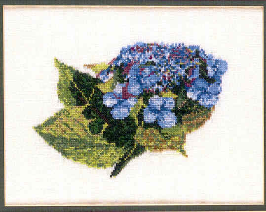 십자수도안책 Green Apple/ LACE-CAP HYDRANGEA-657