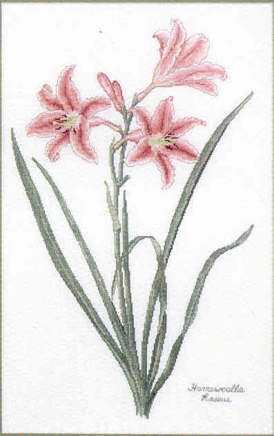 십자수도안책 Serendipity/ DAY LILIES-L12