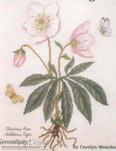 십자수도안책 Serendipity/ CHRISTMAS ROSE-L98