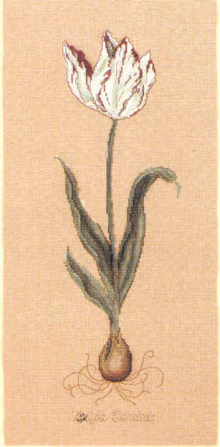 십자수도안책 Serendipity/ DUTCH TULIPS-L185