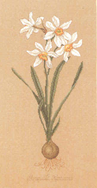 십자수도안책 Serendipity/ NARCISSUS-L186