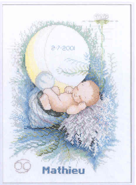 외국 십자수패키지 Lanarte/BIRTHSIGN WATER-23006