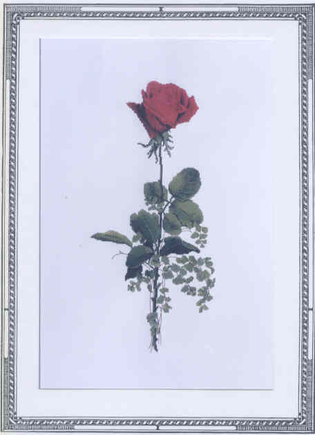 십자수도안책 The Silver Linning/ LADY ASHWORTH-SL119(CHART PACK)