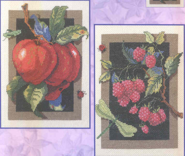 외국 십자수패키지 Bucilla/APPLE AND RASPBERRIES-42856