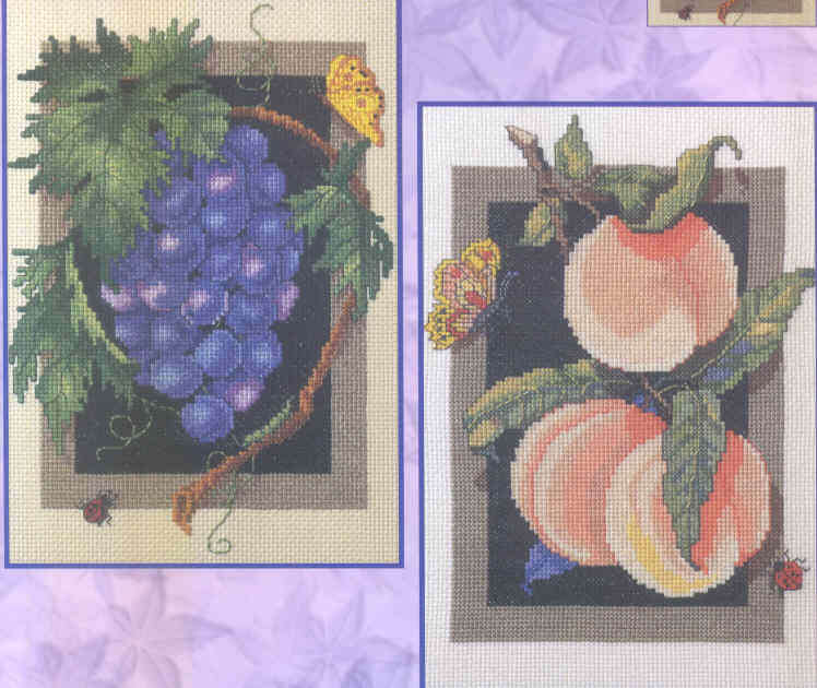 외국 십자수패키지 Bucilla/GRAPES AND PEACHES-42857