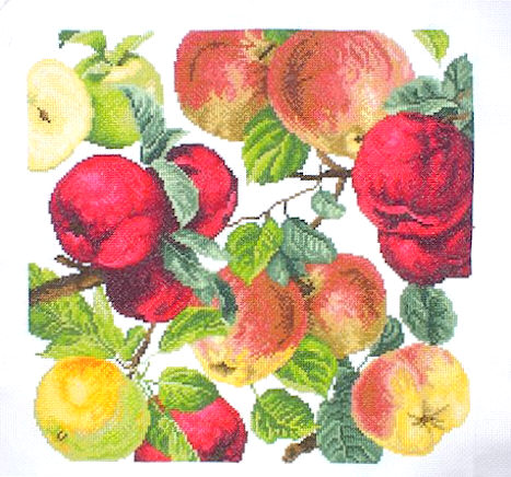 십자수 완성작품(원단상태)-APPLES/10509