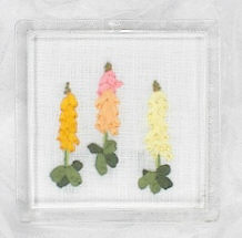 리본자수컵받침 패키지-FOXGLOVE-C002