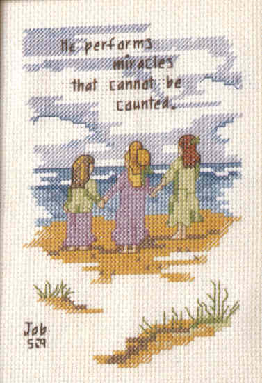 외국 십자수패키지 Bucilla/HE PERFORMS MIRACLES-43302(4X6)