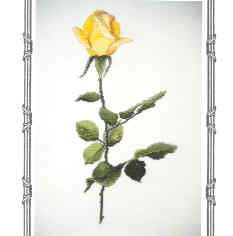 십자수도안책 The Silver Linning/ FAITH-ROS011(CHART PACK)