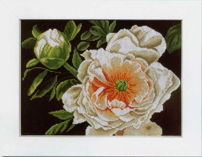 외국 십자수패키지 Lanarte/PEONY LADY OF THE EVENING -35124(0008177)