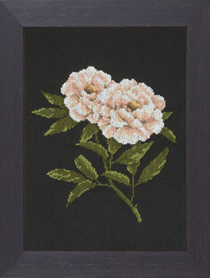 외국 십자수패키지 Lanarte/PEONIES ON BLACK-38012A
