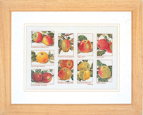 외국 십자수패키지 Thea Gouverneur/ APPLES(36ct)-TG2082