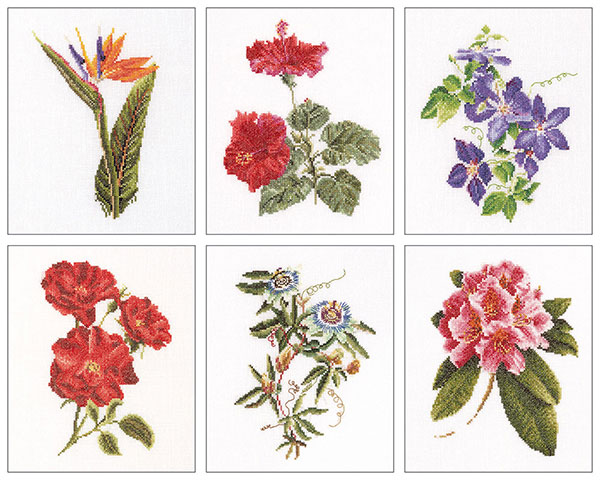 외국 십자수패키지 Thea Gouverneur/ SIX FLORAL STUDIES 1(36ct)-TG3081