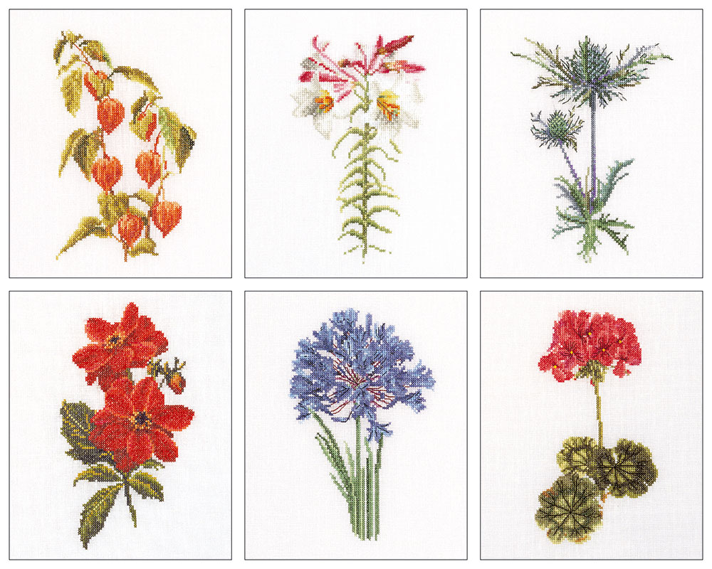 외국 십자수패키지 Thea Gouverneur/ SIX FLORAL STUDIES 2(36ct)-TG3082