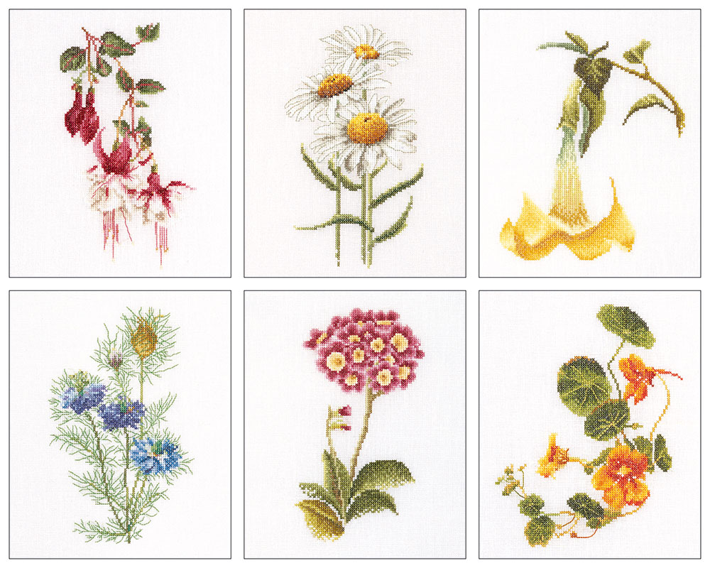 외국 십자수패키지 Thea Gouverneur/ SIX FLORAL STUDIES 4(36ct)-TG3084