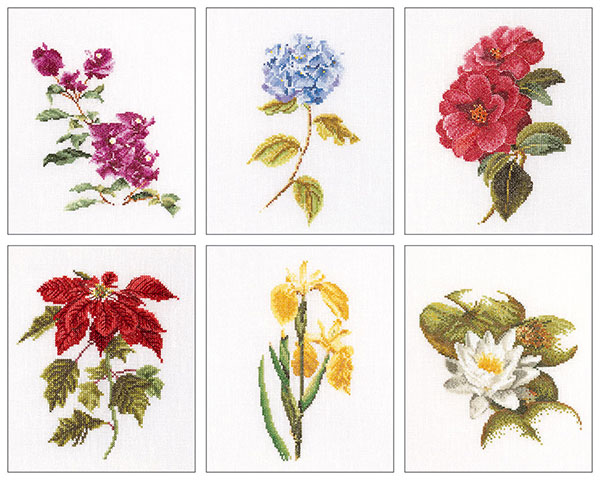 외국 십자수패키지 Thea Gouverneur/ SIX FLORAL STUDIES 7(36ct)-TG3087