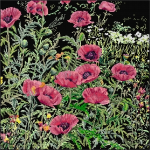 외국 십자수패키지 Thea Gouverneur/ PINK POPPIES(18ct-Black)-TG2061.05