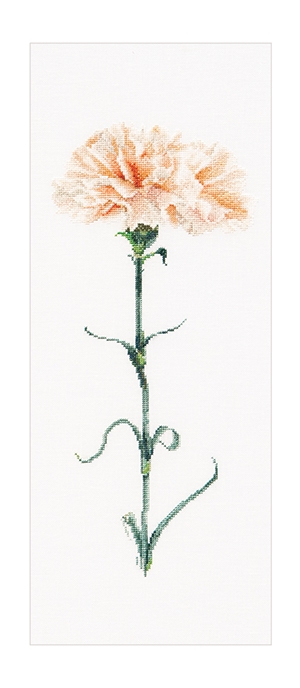 외국 십자수패키지 Thea Gouverneur/ CARNATION PEACH(36ct)-TG468