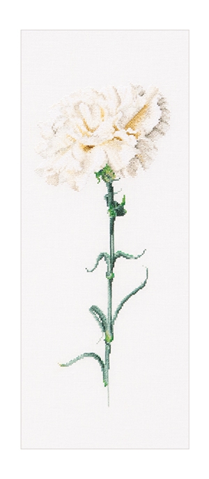 외국 십자수패키지 Thea Gouverneur/ CARNATION WHITE(36ct)-TG466