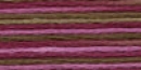 DMC자수실 칼라복합사(Coloris) 4504