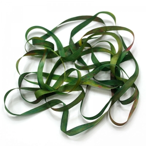 HOTA 실크리본자수실 Silk Ribbon 7mm Hand-dyed 복합/G.SR07.0124(Turner)