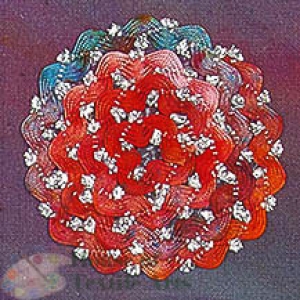 HOTA RicRac 장식용 끈 Hand-dyed 복합/T.VRR6.0111(Frida)