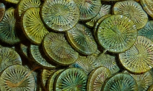 HOTA Thread Button 복합사로 감싼 버튼 단추 Hand-dyed (10개세트)/E.LTB.0124(Turner)