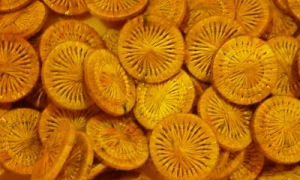 HOTA Thread Button 복합사로 감싼 버튼 단추 Hand-dyed (10개세트)/E.LTB.0106(Klimt)