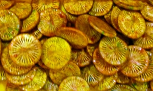 HOTA Thread Button 복합사로 감싼 버튼 단추 Hand-dyed (10개세트)/E.LTB.0101(Macke)