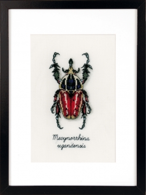 외국 십자수패키지 Vervaco/ Red Beetle-0165074