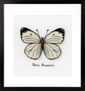 외국 십자수패키지 Vervaco/ White Butterfly-0165233