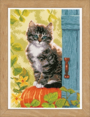 외국 십자수패키지 Vervaco/ Cat & Pumpkin-0158303