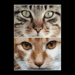 외국 십자수패키지 Thea Gouverneur/ Cats Tess + Simba (16ct)-TG543A
