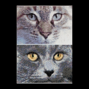 외국 십자수패키지 Thea Gouverneur/ Cats Jack + Luna (16ct)-TG541A